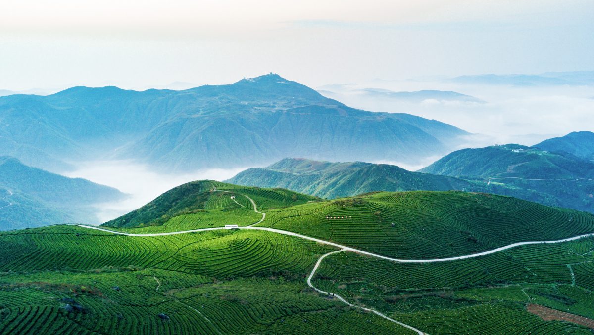 Terraced natural cultivation fields in the mountains